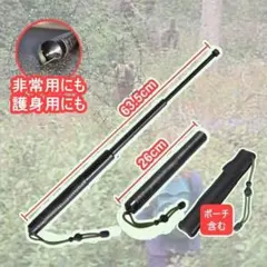 Item thumbnail for item 5015a97f-fc0d-4589-a45c-58f6da1c3075