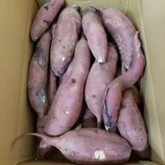 サツマイモ 茨城県産 紅はるか 箱含む5キロのサムネイル
