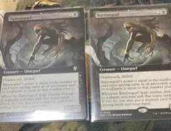 MTG【Foil】バロウゴイフ/Barrowgoyf1枚 - メルカリ