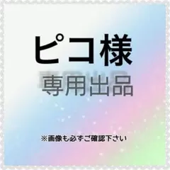 ピコ様　専用