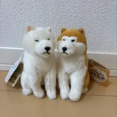 【新品】ほっこり秋田犬　はち兵衛ぬいぐるみ　マスコットキーホルダー