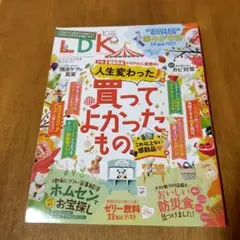 LDK 10月号2025 買ってよかったもの特集