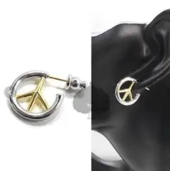 三代目JSB 今市隆二 RILY ピンイヤリング ピンピアス シルバー新品未使用 2025年最新】ピアス 三代目j soul brothersの人気アイテム - メルカリ