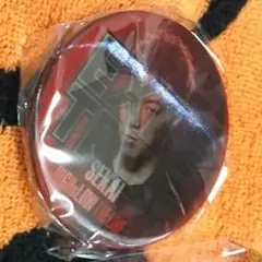 HiGH&LOW ガチャ 世界