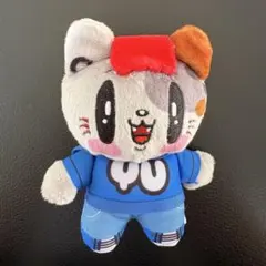 ジェ猫 マスコット 中務裕太