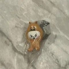StrayKids スキズ skzoo つまんでつなげてますこっと リービット