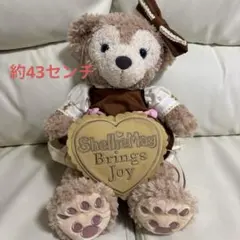 ShellieMay ぬいぐるみ　シェリーメイ　バレンタイン　ディズニーシー