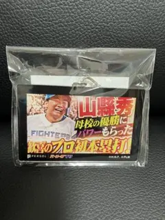 ファイターズ 記念グッズ
