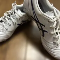 東海大学野球部 トレーニングシューズ ホワイト/ネイビー - メルカリ