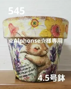 ✩Alphonse✩様 リクエスト 3点 まとめ商品　リメイク鉢☆リメイク缶