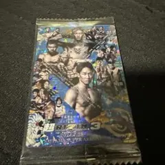 RIZINウエハース 24 No.35 シークレット1 超RIZIN3