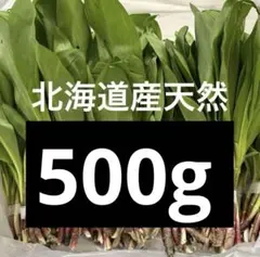４月26日常温発送　道北産　朝採り天然行者ニンニク　6kg 4月26日常温発送 道北産 朝採り天然行者ニンニク 1kg - メルカリ