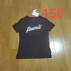 Item thumbnail for item d948d198-4b94-4c71-b1e3-04cdbe05f5b5