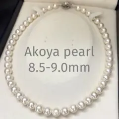 テリ強】タサキ あこや真珠 パール ネックレス 6-6.5mm TASAKI - メルカリ