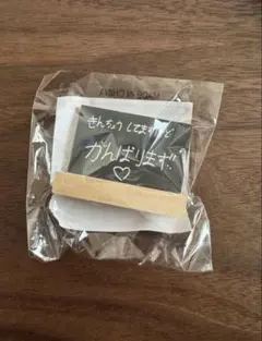 TREASURE カプセルトイ　ジョンウ