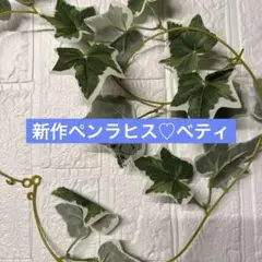 ペンラヒス♡ベティ