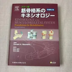 裁断済み:筋骨格系のキネシオロジー 原著第3版 - メルカリ