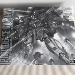MG 1/100 プロヴィデンスガンダム スペシャルコーティング