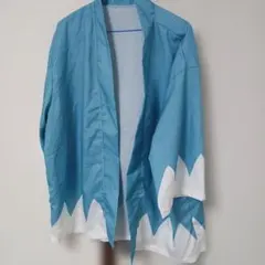 Item thumbnail for item 48abea66-de89-457f-a41d-bb5c264703bd