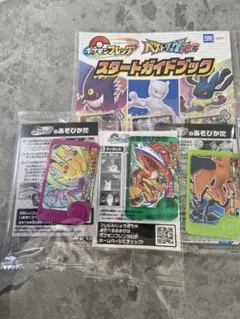 ポケモンフレンダ ピカチュウリザードンカードセット