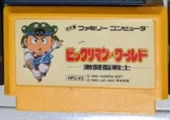 ビッグリマワールド ゆきたさん用