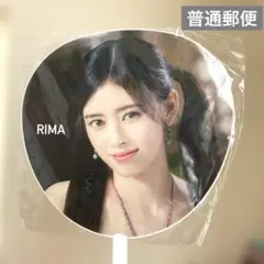 Item thumbnail for item 838b42c7-4e79-4326-b180-2023a2674b8e