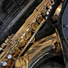 2026年最新】サックス タンポの人気アイテム - メルカリ