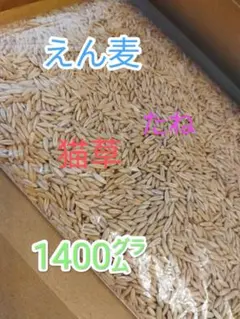 Item thumbnail for item e5faa573-f4b4-41d9-802a-287d0020ef9e