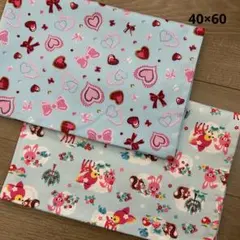 ランチョンマット 女の子 40×60 2枚セット 給食ナフキン ゆめかわ