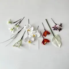 Item thumbnail for item 51dcfb7b-d9c1-498f-9960-edb3347b3b22