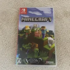 Minecraft Nintendo Switch