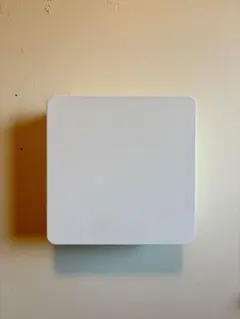 山崎実業 玄関・屋外収納