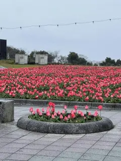 shinji_arts様専用☆