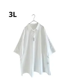 Item thumbnail for item 3fc43993-0012-4338-8d05-e7c4dc90c711