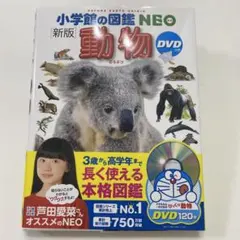 Item thumbnail for item e7d5da04-4427-4fbf-98ea-33641ecd4c13