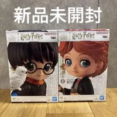 【新品未開封】ハリー・ポッター フィギュア2体セット
