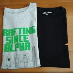 Item thumbnail for item 125fa20a-75a0-49f6-ba7d-00436d6f252b