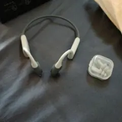 Item thumbnail for item d91702f0-fc4d-41f7-aa83-8a158f8df8f1