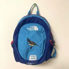 THE NORTH FACE 青色リュック 鳥刺繍　キッズ　ブルー