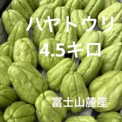 ハヤトウリ11Kg 2025年最新】ハヤトウリの人気アイテム - メルカリ