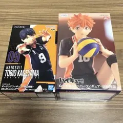 ハイキュー 日向翔陽 ぬーどるストッパー フィギュア ゴミ捨て場の決戦 影山飛雄