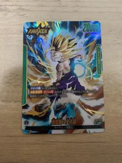 リーダーパラレル ドラゴンボールカード