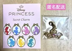 ディズニーストア　プリンセスシークレットチャーム　ティアラ　オーロラ