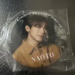 三代目JSB FOREVER ONE ガチャ NAOTO缶バッジ2個セット - メルカリ
