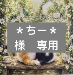 ＊ちー＊様　専用