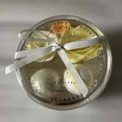 Francfranc カドミニオン フィズ＆ペタル ラウンド LGRのサムネイル