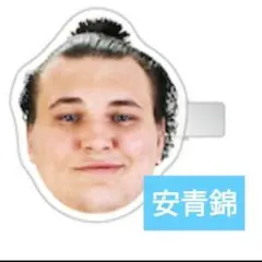 安青錦 新大 お相撲さんのフェイスヘアピン