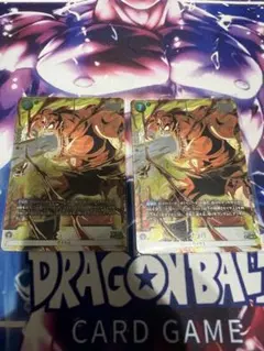 ナッパ パラレル リミテッドパック02 2枚セット