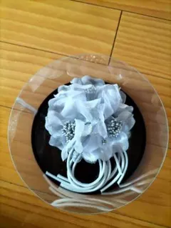 Item thumbnail for item 43ba37c3-53d7-4070-8928-d64075f36651