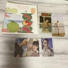 seventeen セブチ アルバム ヘンガレ ホシ ジョンハン トレカ付き